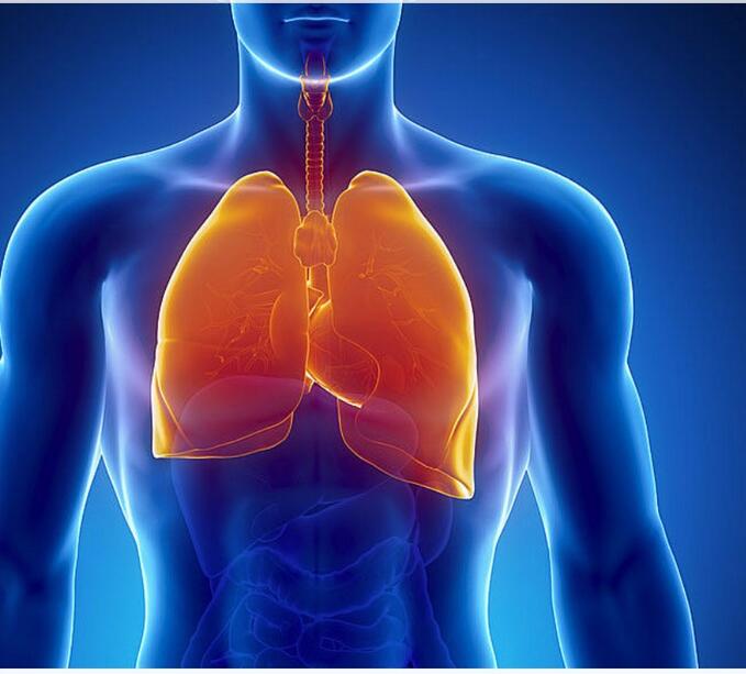 悦琦肺功能仪（小肺）3