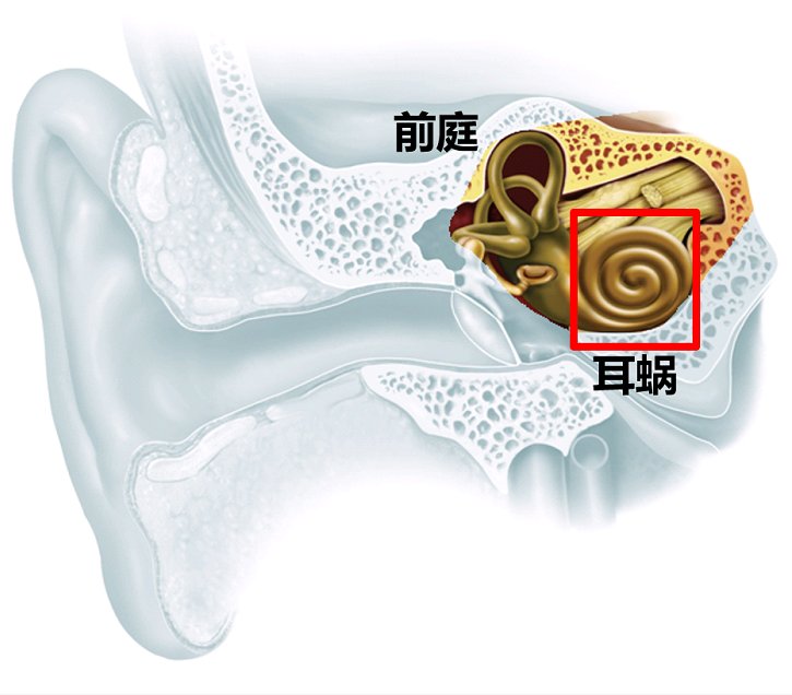麦科M51听力计（2）